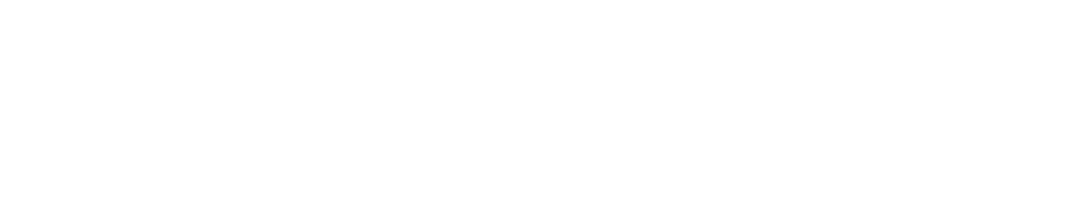 Evolution Travel